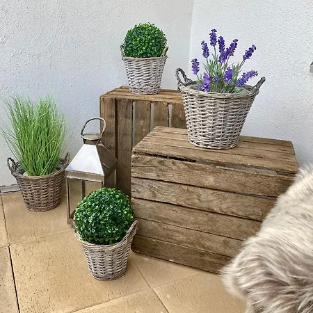 Apartment The *